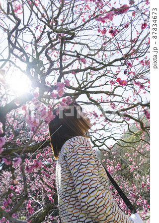 梅の花を撮影するカメラ女子 梅の花を撮影するカメラ女子 87834673