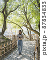 日本庭園を散策して写真を撮るカメラ女子 87834833