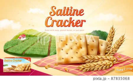 Saltine crackers ad template 87835068