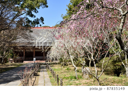 観心寺(恩賜講堂) 【大阪府河内長野市】 観心寺(恩賜講堂) 【大阪府河内長野市】 87835149