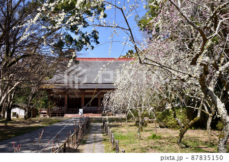 観心寺(恩賜講堂) 【大阪府河内長野市】 観心寺(恩賜講堂) 【大阪府河内長野市】 87835150