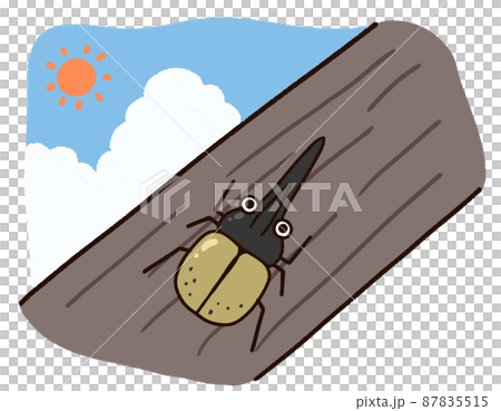 赫拉克勒斯甲蟲,一種棲息在樹上的夏季昆蟲 赫拉克勒斯甲蟲,一種棲息在樹上的夏季昆蟲 87835515