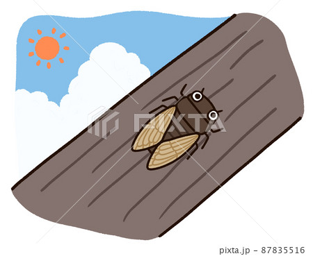 A Brown Cicada A Summer Insect That Perches On Stock Illustration