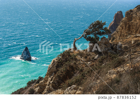 View of Cape Fiolent from the top of the cliff in spring. Sevastopol, Crimea 87836152