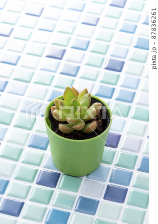 ブルーのタイルと観葉植物 ブルーのタイルと観葉植物 87836261