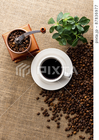 コーヒー コーヒー 87836977