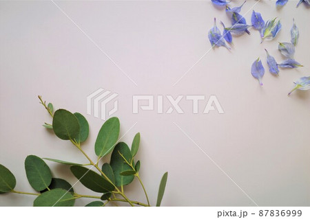 散った青い花びらとグリーン 87836999