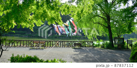 都会の公園 都会の公園 87837112