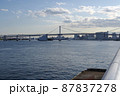 晴海客船ターミナルからの眺望・レインボーブリッジ 晴海客船ターミナルからの眺望・レインボーブリッジ 87837278