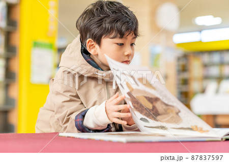 男の子 読書 図書館 87837597
