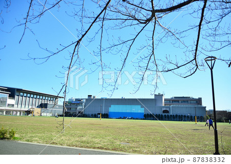 平和の森公園 87838332