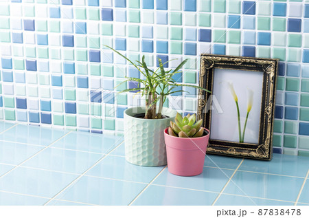 花の写真と植物の部屋イメージ 87838478
