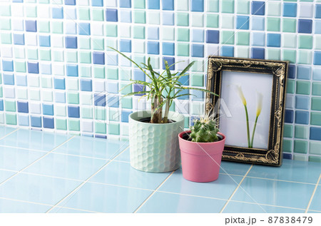 花の写真と植物の部屋イメージ 87838479