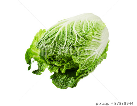 Napa cabbage or chinese cabbage isolated on white background. 87838944