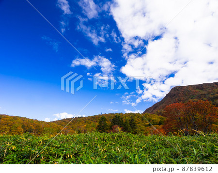 秋の山と青空を見上げる (片貝沼周辺、蔵王連峰、山形県) 87839612