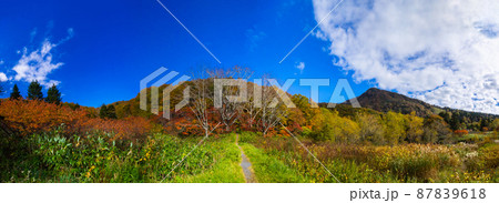 紅葉の高原と三宝荒神山 (片貝沼周辺、蔵王連峰、山形県) 87839618