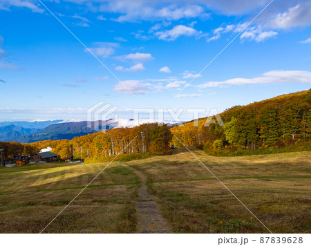 秋の高原とその背後に雲海のかかる山々 (中央高原、鳥兜山、山形県)) 秋の高原とその背後に雲海のかかる山々 (中央高原、鳥兜山、山形県)) 87839628