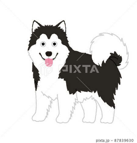 アラスカンマラミュートの犬イラスト アラスカンマラミュートの犬イラスト 87839630