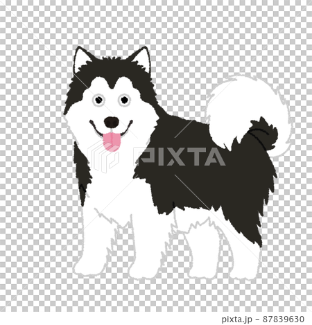 アラスカンマラミュートの犬イラスト アラスカンマラミュートの犬イラスト 87839630