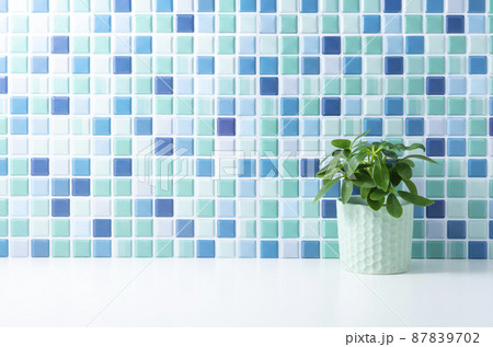 ブルーのタイル壁と観葉植物 ブルーのタイル壁と観葉植物 87839702