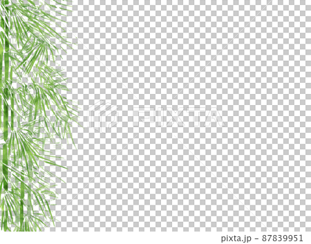 竹と笹のフレーム、背景 竹と笹のフレーム、背景 87839951