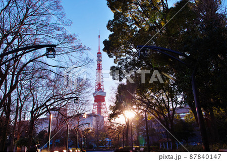 夕刻時の東京タワー 夕刻時の東京タワー 87840147