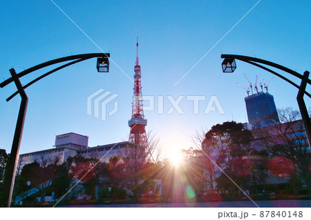 夕刻時の東京タワー 87840148
