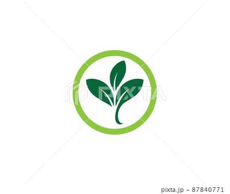 Leaf symbol vector icon 87840771