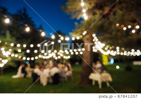 Blurred image of Decorative outdoor lighting lamps in the forest at a wedding party. Edison lamps on coniferous trees Blurred image of Decorative outdoor lighting lamps in the forest at a wedding party. Edison lamps on coniferous trees 87841207