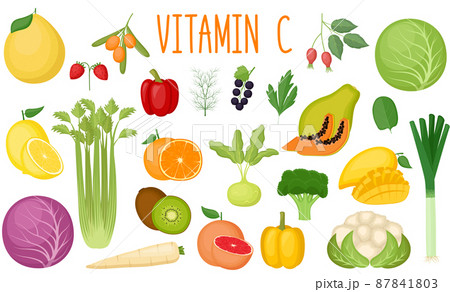 Set of vitamin C sources. Healthy food. Collection of vegetables and fruits enriched vitamin C. Vector illustration 87841803
