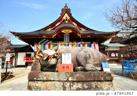 岩津天満宮　願掛け撫で牛 87841907