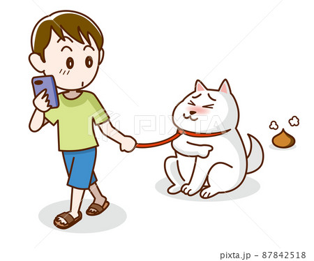 犬の糞は持ち帰ろう 87842518