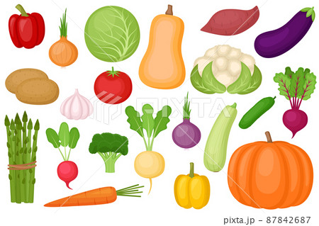 Set of fresh ripe vegetables, vector illustration 87842687