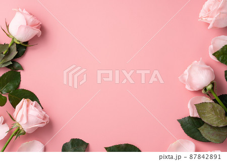 薔薇 バラ科 バラ 87842891