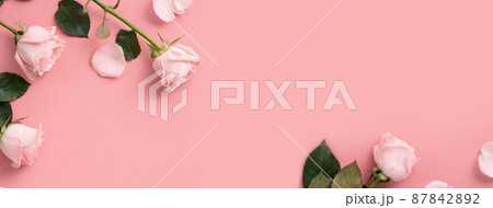 薔薇 バラ科 バラ 87842892