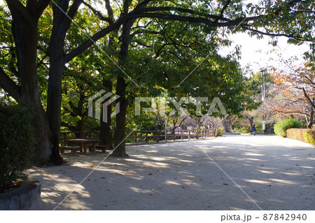 秋の江波山公園の景色 87842940