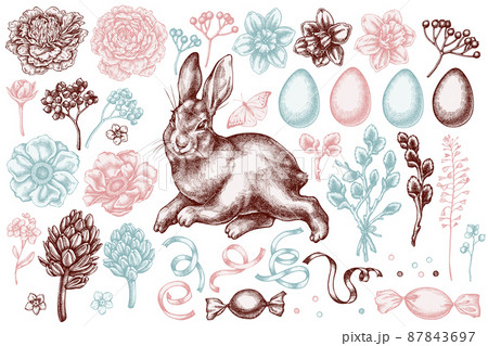 Easter hand drawn vector illustrations collection. Stylized rabbit, eggs, willow branches, etc. 87843697