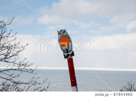 冬の知床　フクロウの路肩ポールとオホーツク海の流氷（北海道・斜里町・岩尾別） 87843960