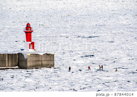 冬の知床　ウトロ灯台の下での流氷ウォーク　流氷の上を歩くアクティビティ（北海道・斜里町・ウトロ） 87844014