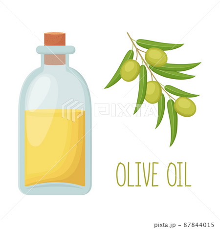 Bottle of olive oil and olive branch, vector illustration 87844015