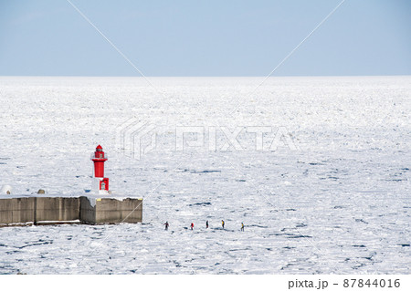 冬の知床　ウトロ灯台の下での流氷ウォーク　流氷の上を歩くアクティビティ（北海道・斜里町・ウトロ） 87844016
