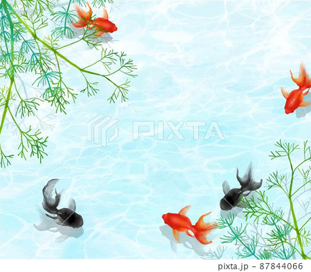 水草のある水の中を黒と赤の金魚が優雅に泳ぐ水の波紋が美しいデザインのベクター夏フレーム素材 水草のある水の中を黒と赤の金魚が優雅に泳ぐ水の波紋が美しいデザインのベクター夏フレーム素材 87844066