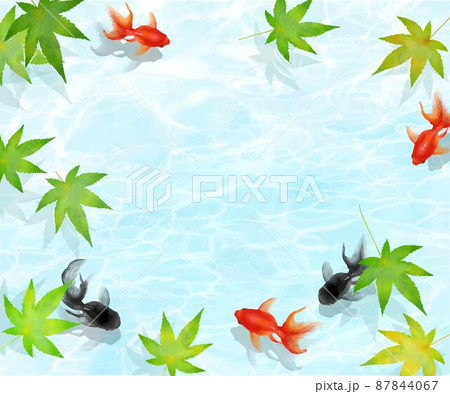 楓の葉の浮く綺麗な水の中を黒と赤の金魚が泳ぐかわいい和柄の入ったデザインベクター夏フレーム素材 楓の葉の浮く綺麗な水の中を黒と赤の金魚が泳ぐかわいい和柄の入ったデザインベクター夏フレーム素材 87844067