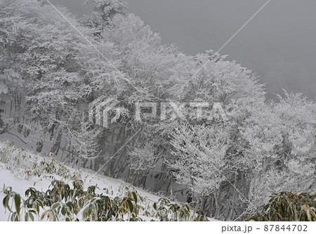 徳島県にある日本百名山「剣山」の冬景色 87844702