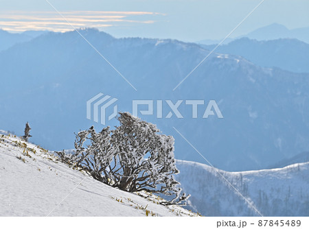 日本百名山「剣山」の冬景色、寒い朝 日本百名山「剣山」の冬景色、寒い朝 87845489