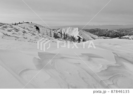 日本百名山「剣山」、「次郎笈」とシュカブラ 87846135