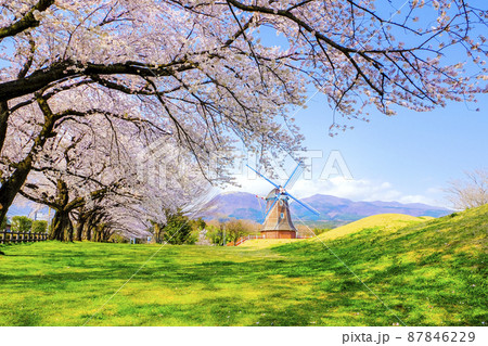 ぐりーんふらわー牧場と赤城山 ぐりーんふらわー牧場と赤城山 87846229