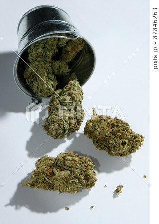 Scattered dry cannabis, marijuana in a bucket isolated on white background Scattered dry cannabis, marijuana in a bucket isolated on white background 87846263