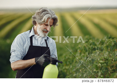 Senior man watering his plants in his garden with sprinkle Senior man watering his plants in his garden with sprinkle 87846872