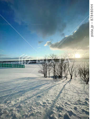冬の北海道 87848044